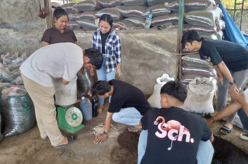 Atasi Permasalahan Sampah, Mahasiswa Agro Unwar Lakukan Pengomposan