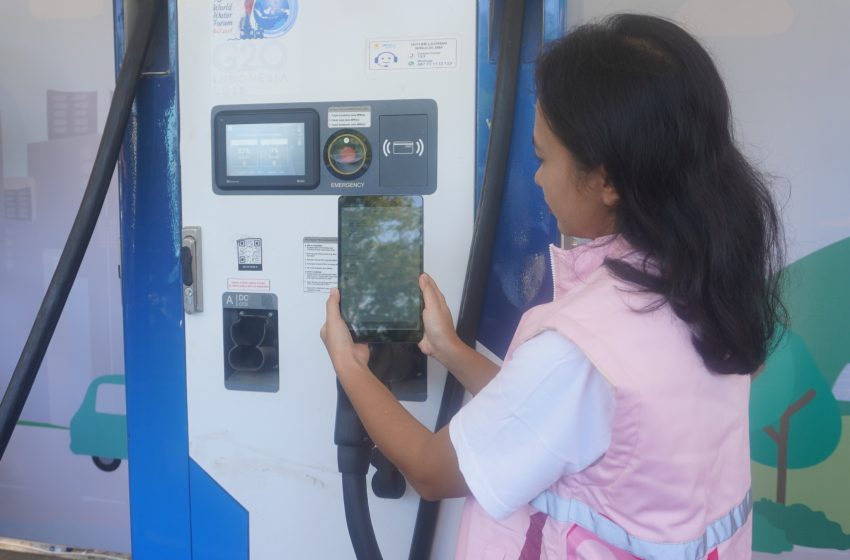 PLN Terjunkan Srikandi, Kawal WWF Ke – 10 Tahun 2024