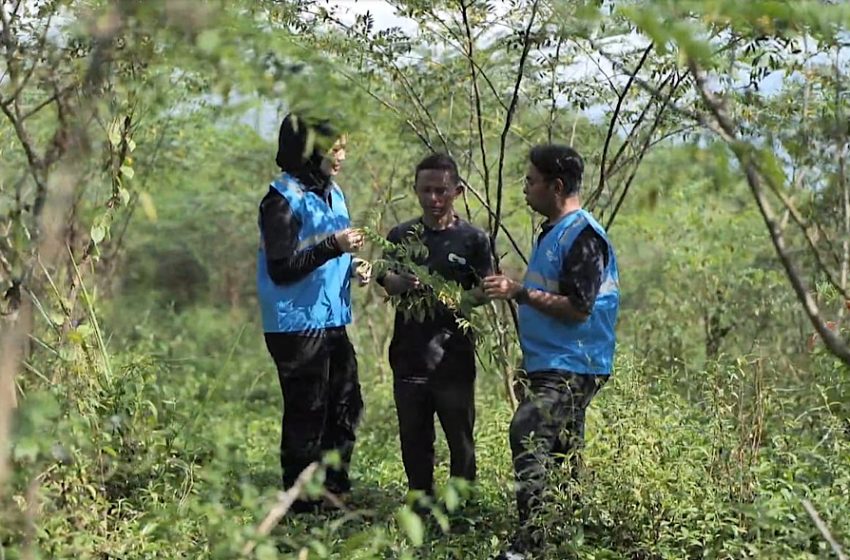 Pengembangan Biomassa PLN di Tasikmalaya: Dikelola Masyarakat, Didukung Pemerintah