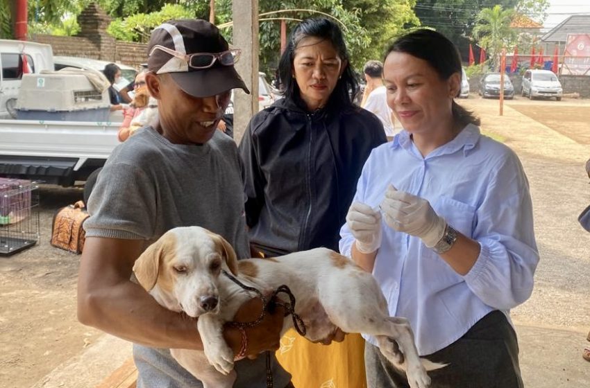  Hingga Juli 2024, Cakupan Vaksinasi Rabies Kota Denpasar Capai 60.772 HPR