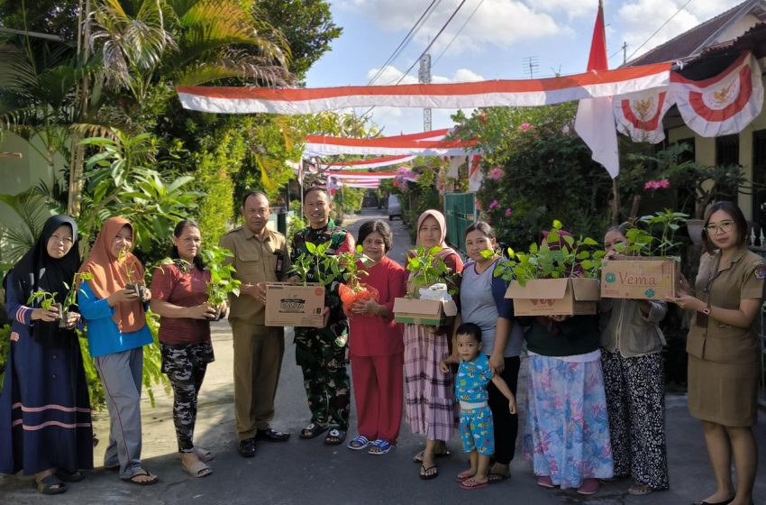  Bagikan 1500 Bibit Cabai ke Warga, Upaya Tingkatkan Ketahanan Pangan