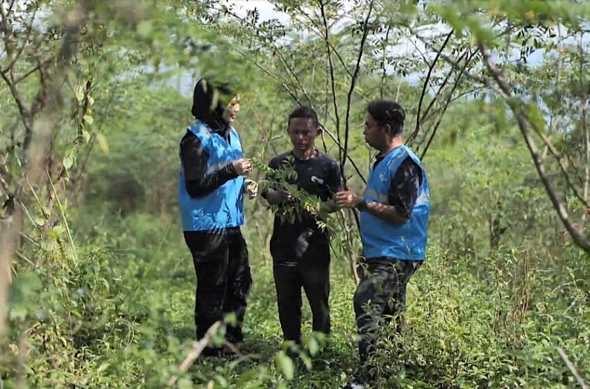  Pengembangan Biomassa PLN di Tasikmalaya: Dikelola Masyarakat, Didukung Pemerintah