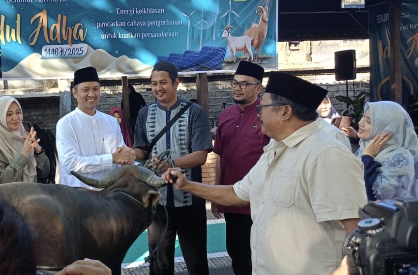  Idul Adha 1446 H, PLN UID Bali Salurkan 1.000 Paket Kurban