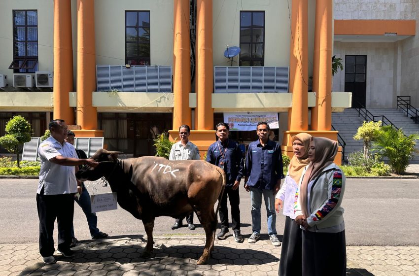  ITDC Salurkan Hewan Kurban di Tiga Destinasi Pariwisata Sambut Idul Adha 1446 H