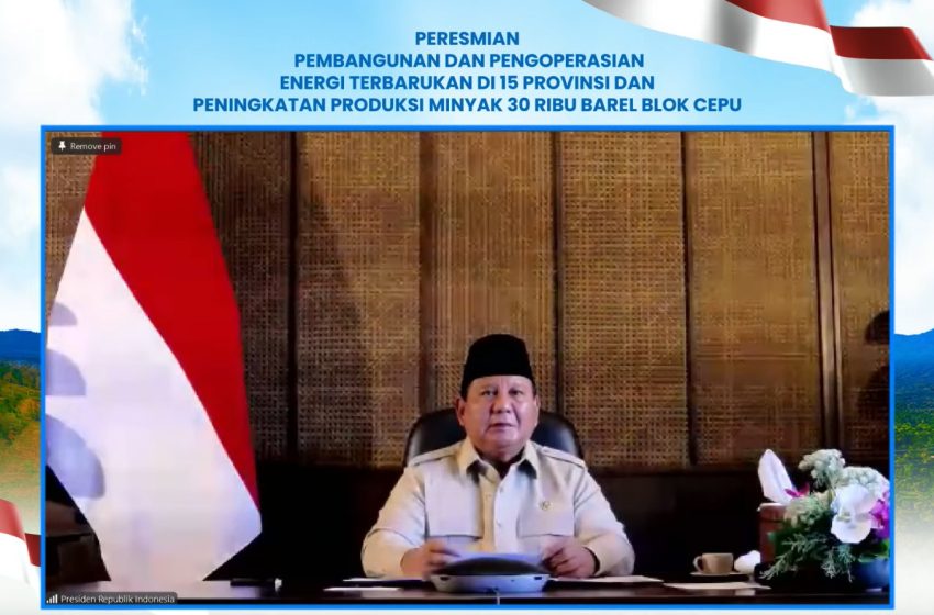  Presiden Prabowo Resmikan PLTS di 11 Provinsi, Warga 3T Akhirnya Nikmati Listrik