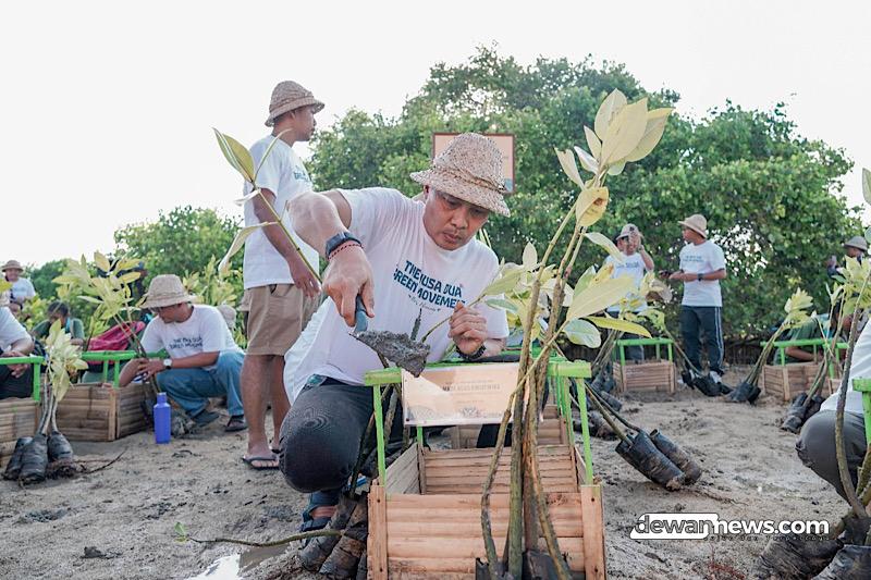  ITDC Tanam 320 Mangrove di Pulau Pudut Jelang Nusa Dua Festival 2025